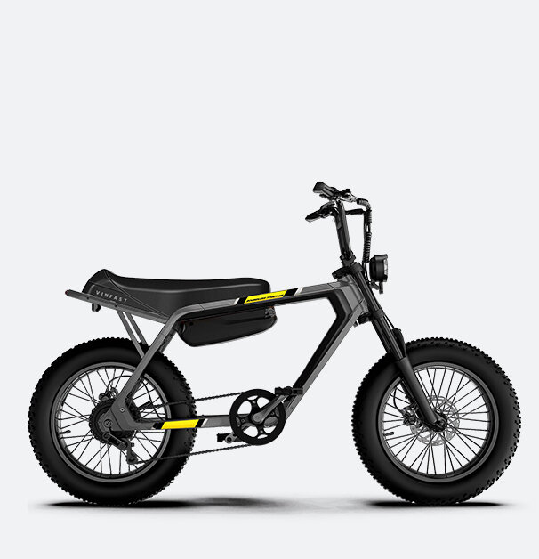 Xe đạp điện VF DrgnFly