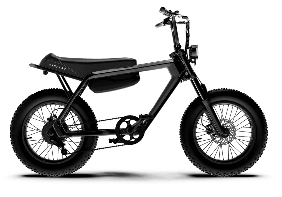 Xe đạp điện VF DrgnFly